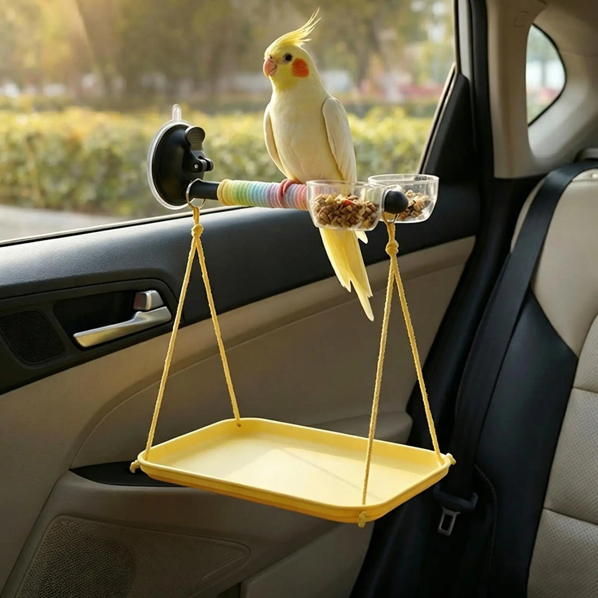 Window Bird Perch with Suction Cup & Droppings Tray | Parrot Perch Bird Window Perch Axl