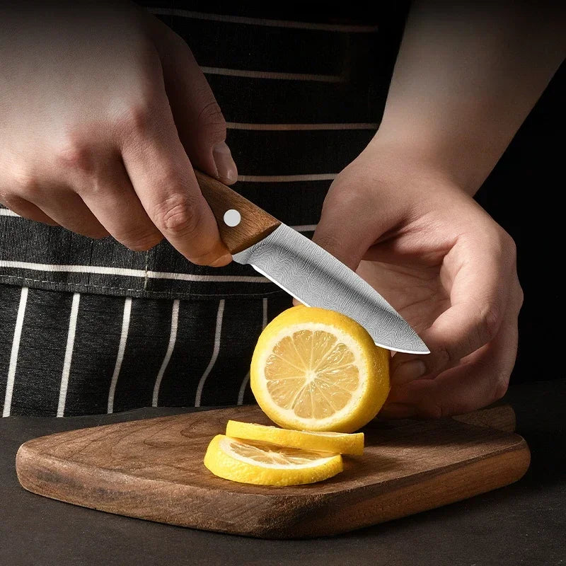 PLYS Stainless Steel Fruit Paring Knife with Holster Paring Knife Axl