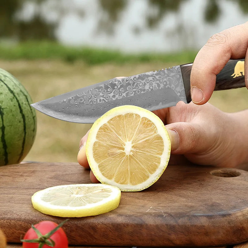Damascus VG10 Kitchen Knife – Wood Handle Fruit & Veg Knife Damascus Kitchen Knife Axl