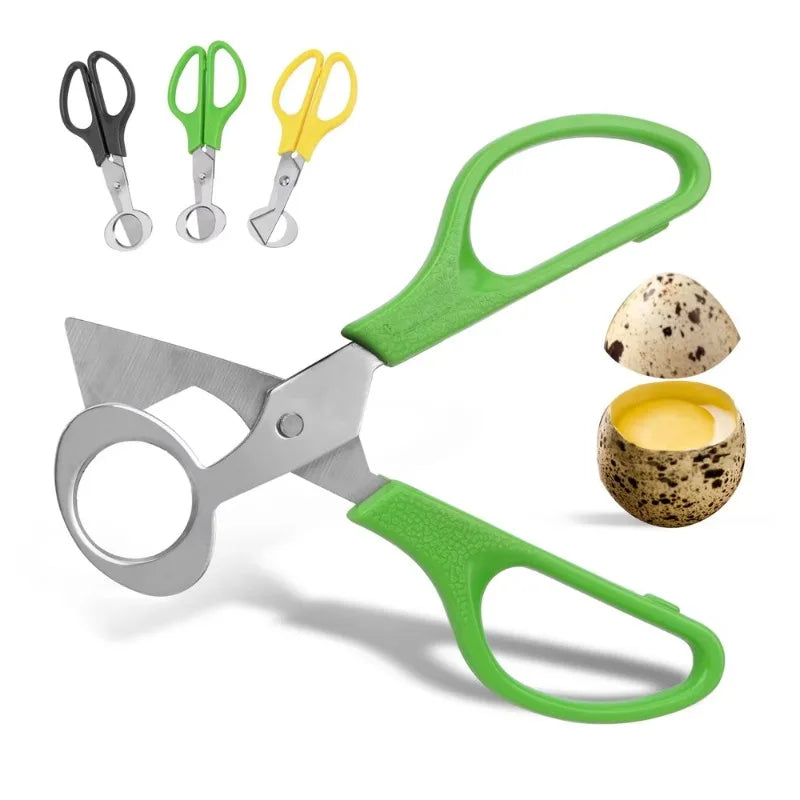 Quail Egg Shell Scissors & Cigar Cutter – Stainless Steel Egg Shell Scissors Axl