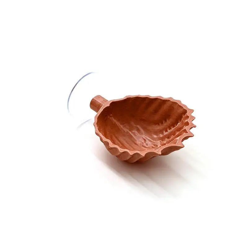 Shell-Shaped Betta Feeding Dish with Suction Cup | Fish Tank Aquarium Feeding Dish Axl O