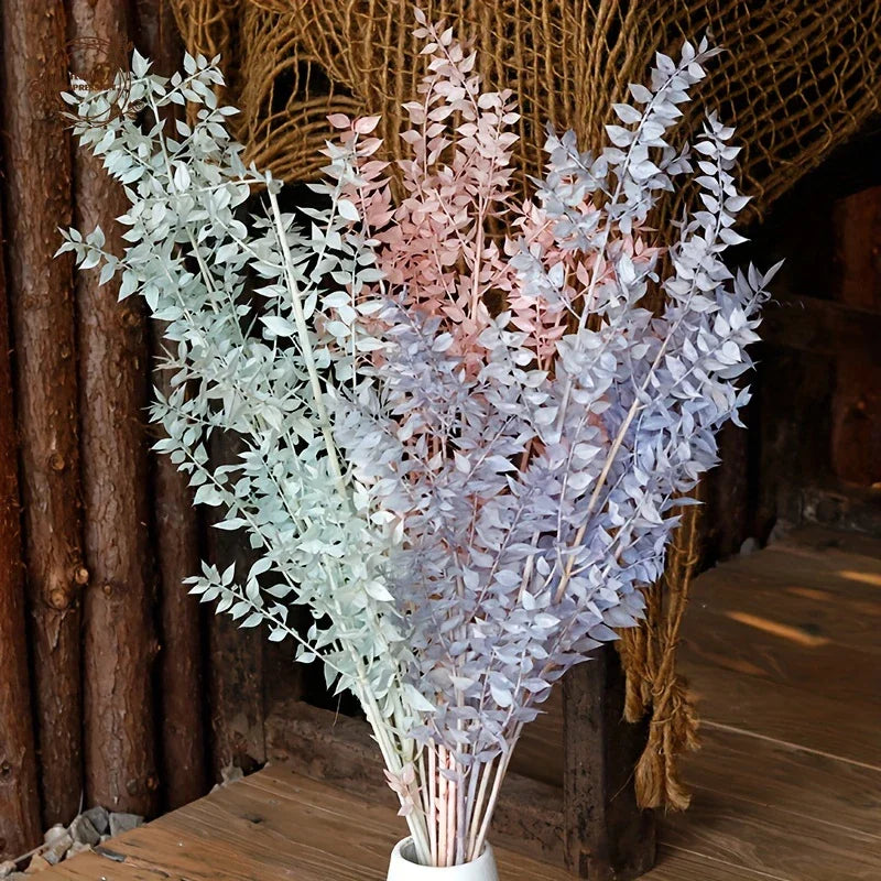 Natural Ruscus Dried Flower Bouquet 40g – Boho Home Decor Dried Flower Bouquet Axl