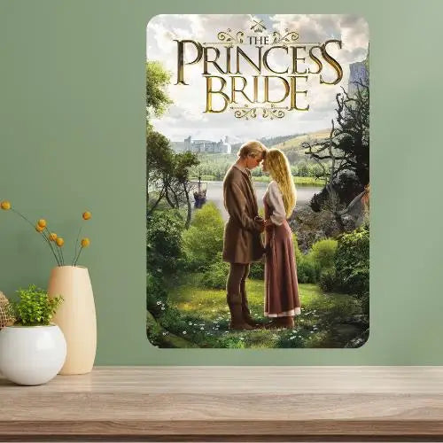 The Princess Bride Metal Movie Poster Sign | Vintage Wall Art Metal Wall Sign Axl aluminum sign aluminum 20x30cm