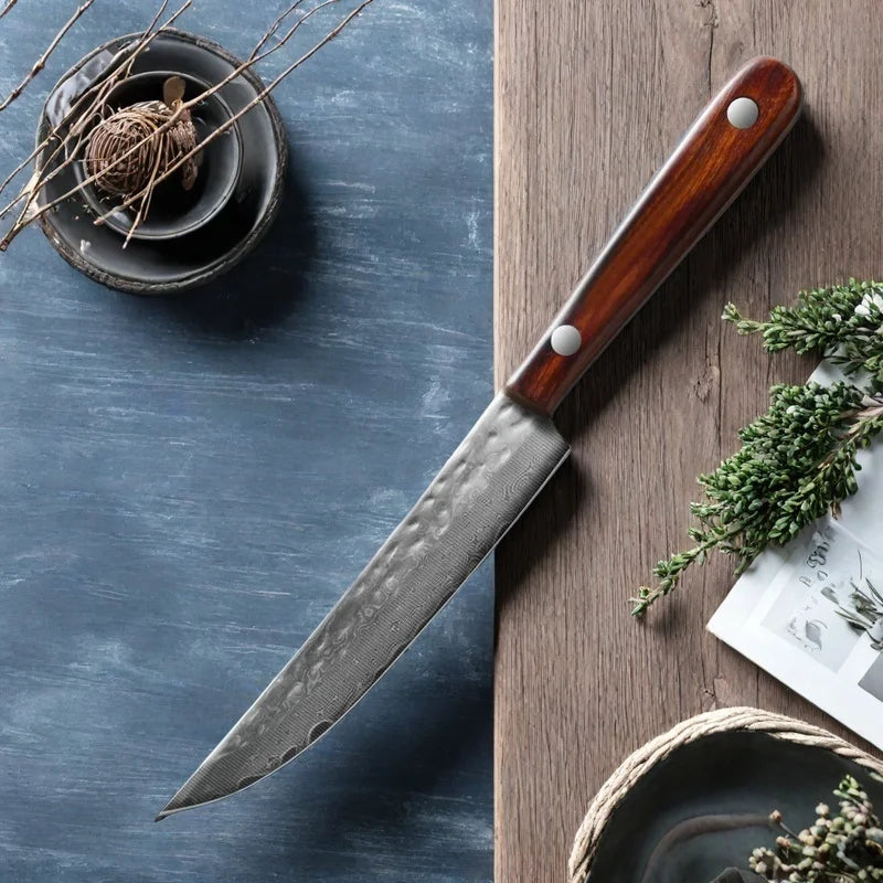 67-Ply Damascus Steel Paring Knife – Wood Handle | Sharp Damascus Kitchen Knife Axl