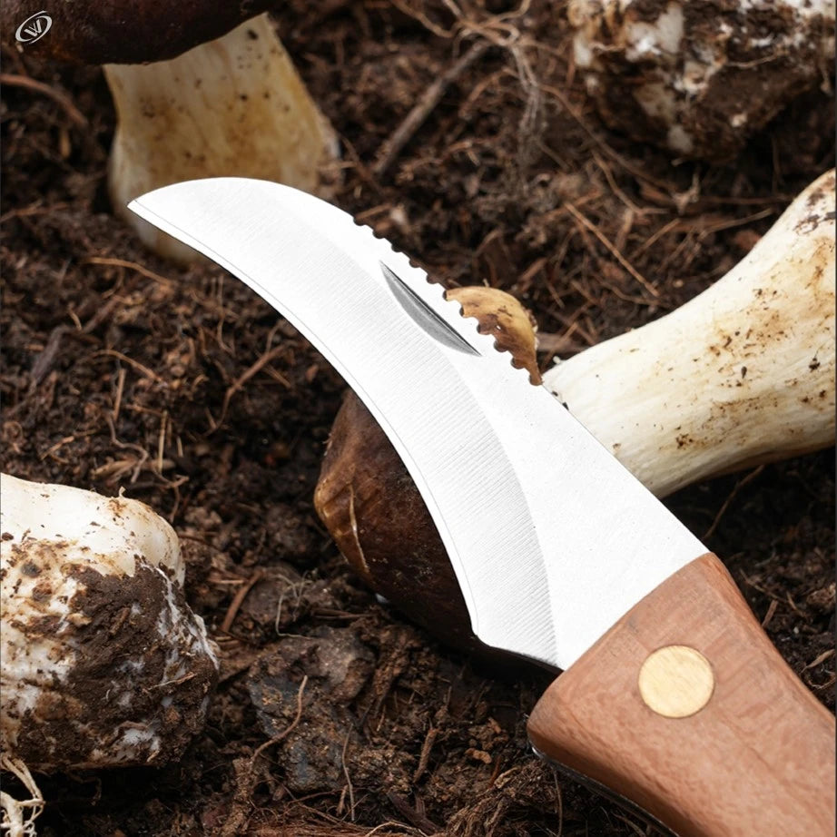 Mushroom Foraging Folding Knife & Brush – Rosewood EDC Folding Foraging Knife Axl