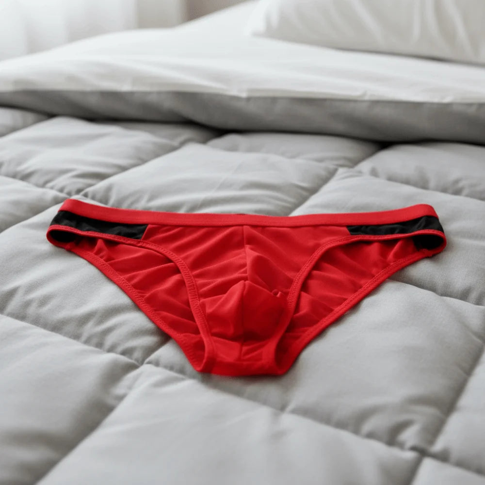 Men's Mesh Briefs – Breathable Low Waist Transparent Underwear Men's Briefs Axl