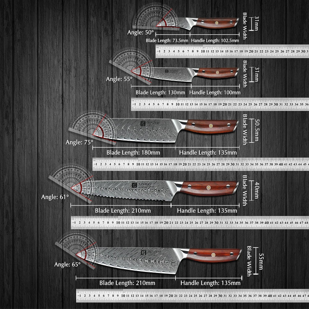 XINZUO 5-Piece Damascus Steel Kitchen Knife Set | Chef & Santoku Kitchen Knife Set Axl