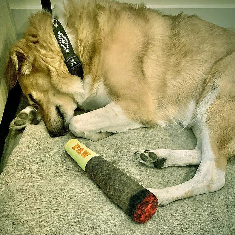 Cigar Shaped Squeaky Dog Plush Toy | Interactive Chew Toy Plush Dog Toy Axl