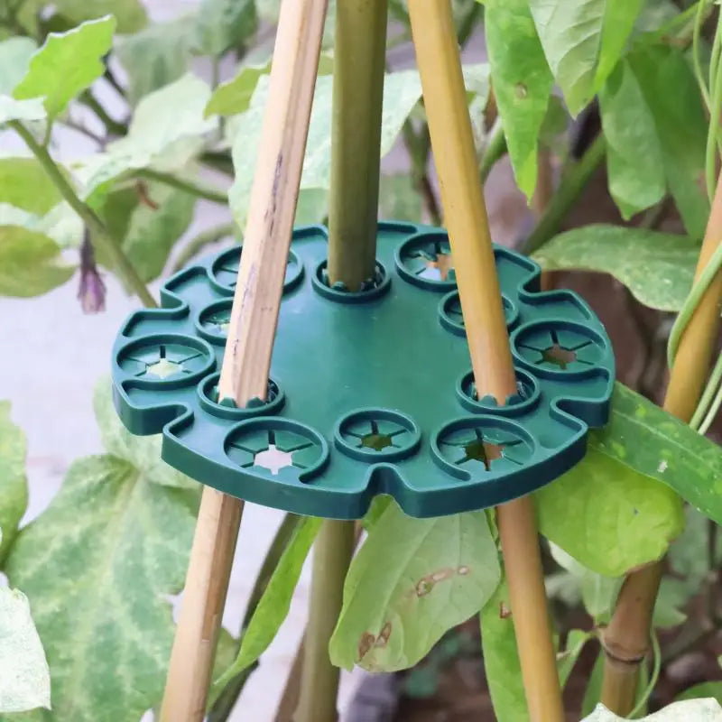 Plant Vine Climbing Support Pads – Bamboo Pole Stem Holders Plant Support Pads Axl