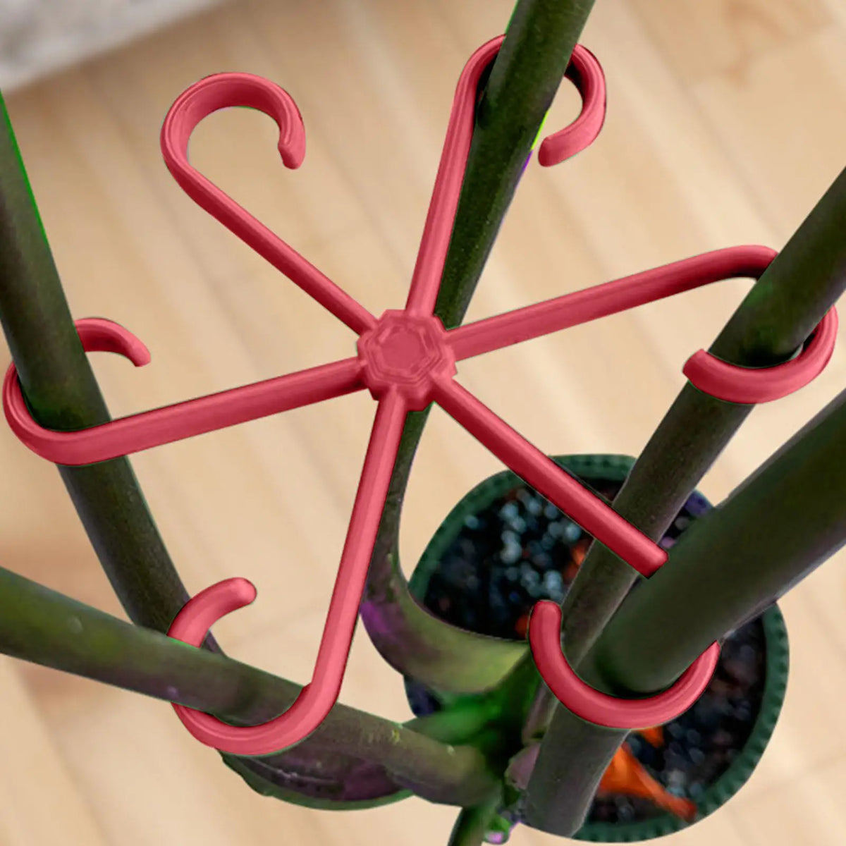 4-Piece Plant Stem Support Set for Climbing Indoor Plants Plant Stem Support Axl