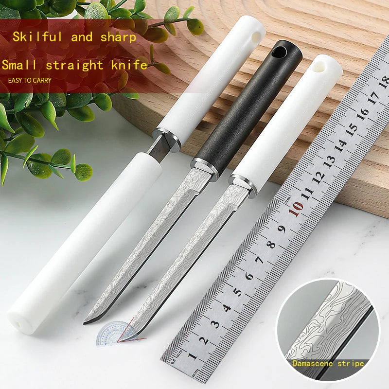 PLYS Fixed Blade Knife – Stainless Steel Camping & Kitchen Fixed Blade Knife Axl
