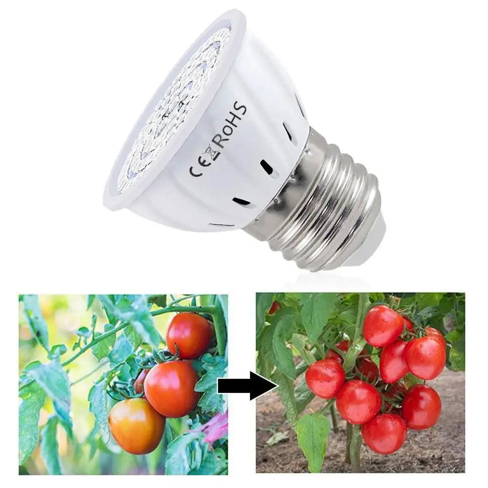 E27 Full Spectrum LED Grow Bulb – 60/80 LED Indoor Plant Light LED Grow Light Axl