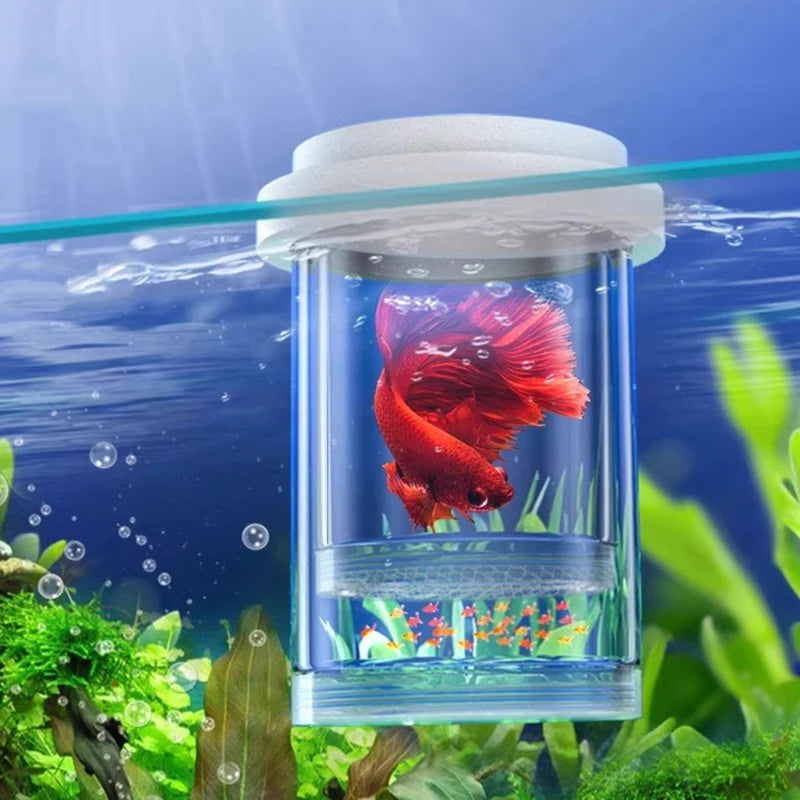 Floating Fish Breeding Box – Nursery for Guppy & Betta Fry Fish Breeding Box Axl