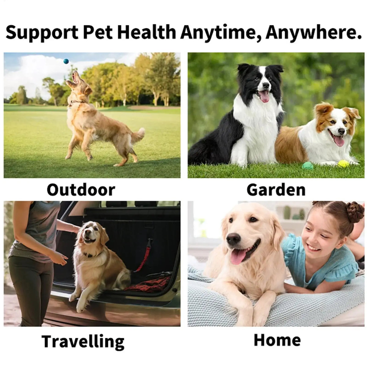 Disposable Pet Finger Toothbrush Wipes for Dogs & Cats 50pk Pet Dental Wipes Axl