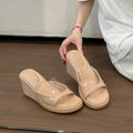 Women's Platform Wedge Slippers | Transparent PVC Slides Platform Wedge Slippers Axl Nude pink 35
