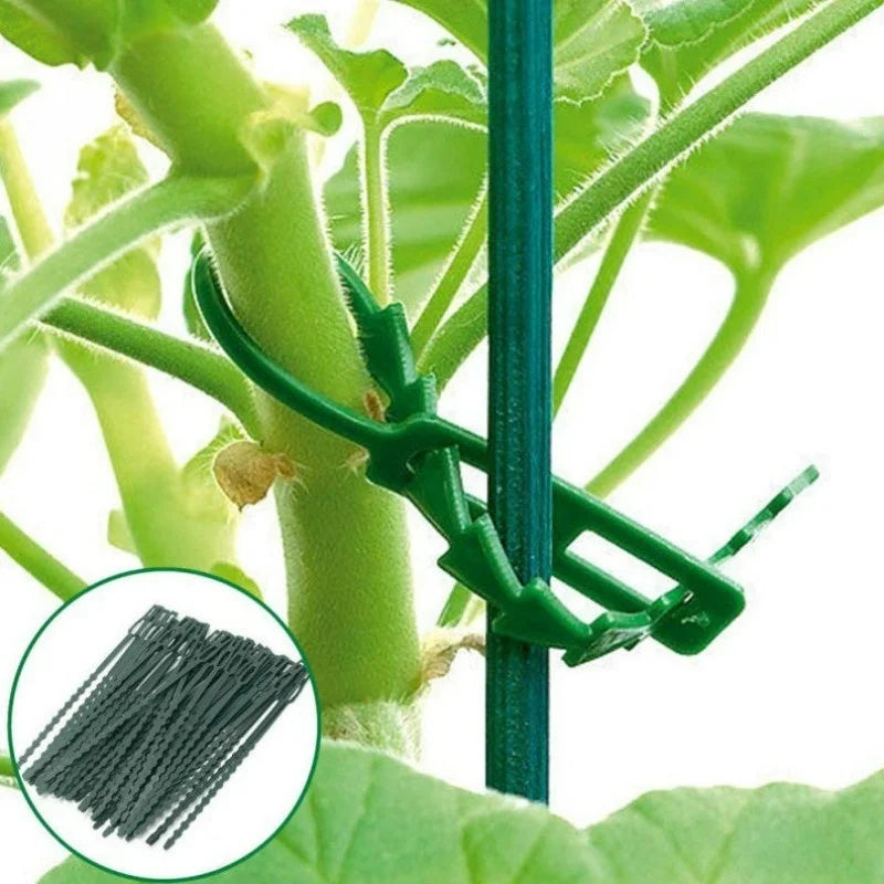 50 Reusable Adjustable Plant Cable Ties – Garden Stem Clips Garden Plant Ties Axl