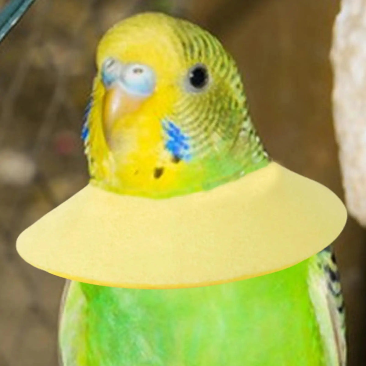 Soft Bird Elizabethan Collar – Cone for Cockatiels & Parrots Bird Protective Collar Axl