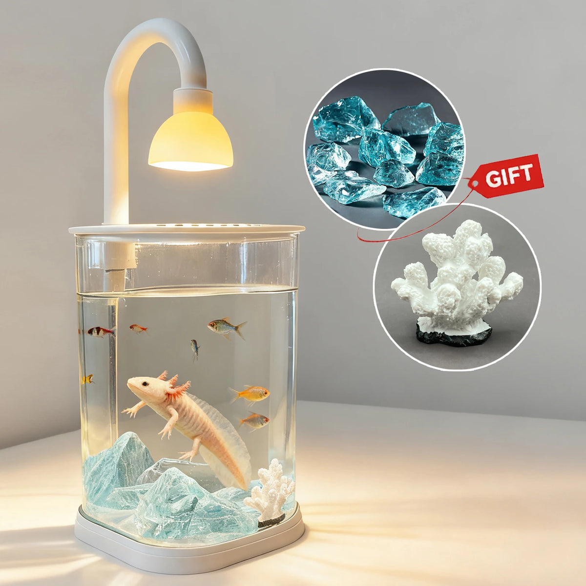 Starter Kit Small Tabletop Fish Tank with Light – Kids Gift Tabletop Fish Tank Axl