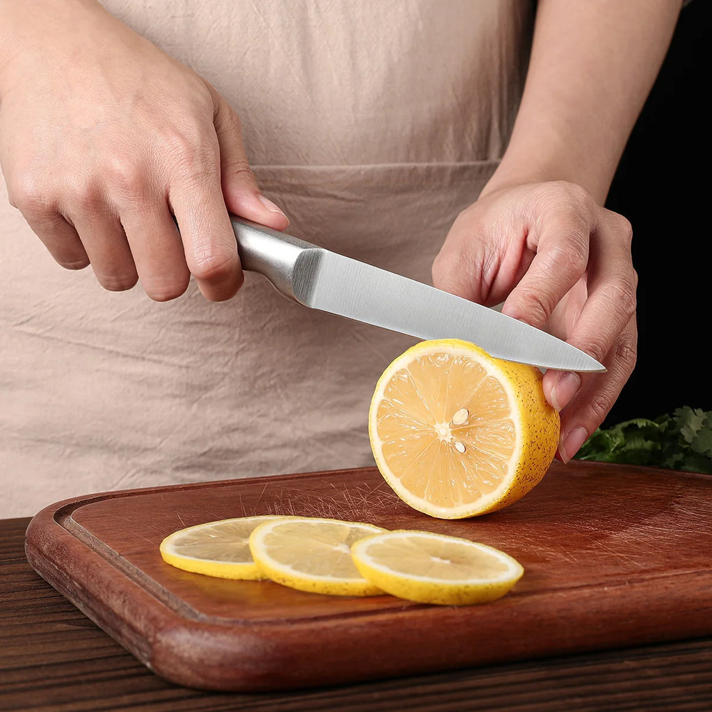 5-Piece Stainless Steel Kitchen Knife Set – Chef & Paring Knives Kitchen Knife Set Axl