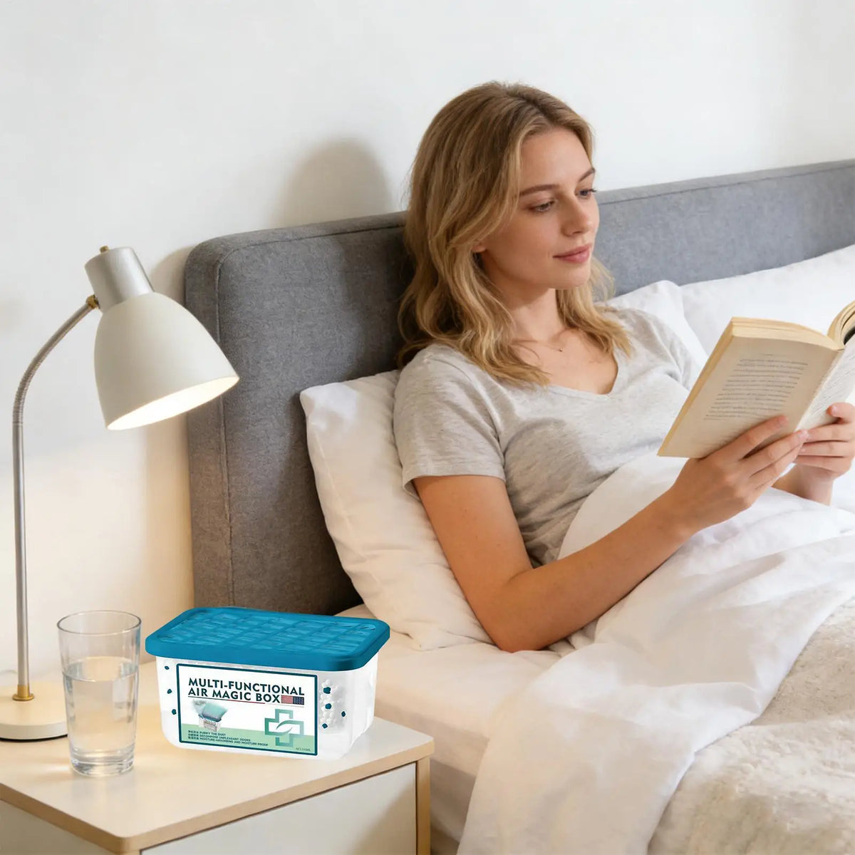 Indoor Air Purifier Box – Odor Neutralizing Dust Remover Air Purifier Box Axl
