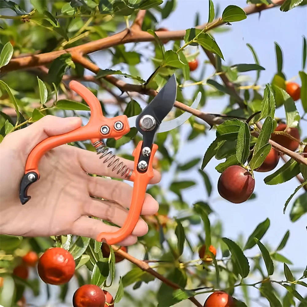 Stainless Steel Garden Scissors – Pruning & Bonsai Shears Pruning Shears Axl