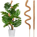 Bendable Moss Coir Pole – Coconut Fiber Climbing Plant Support Plant Climbing Support Axl 1PCS 50cm