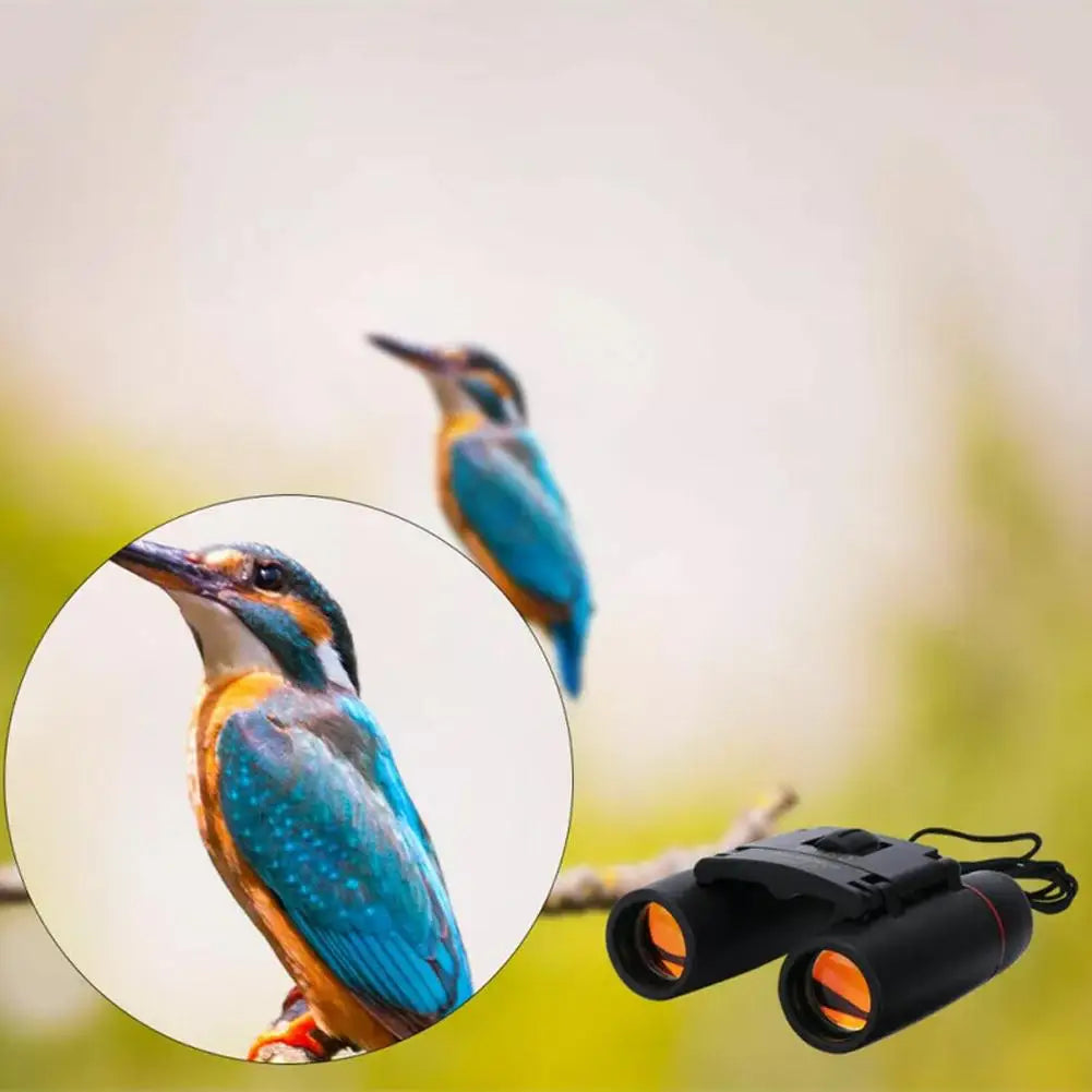 30x60 HD Folding Binoculars – Low Light & Bird Watching Folding Binoculars Axl
