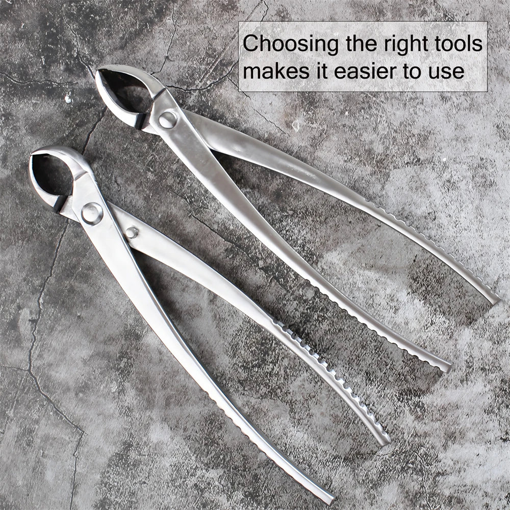 Bonsai Ball Shear Round Pruning Scissors Garden Tool Bonsai Pruning Shears Axl