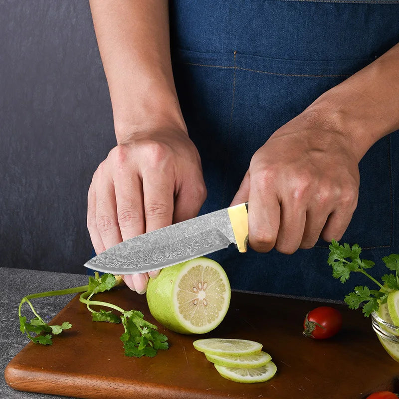 Damascus VG10 Steel Kitchen Knife – Wood Handle | InLeung Damascus Kitchen Knife Axl