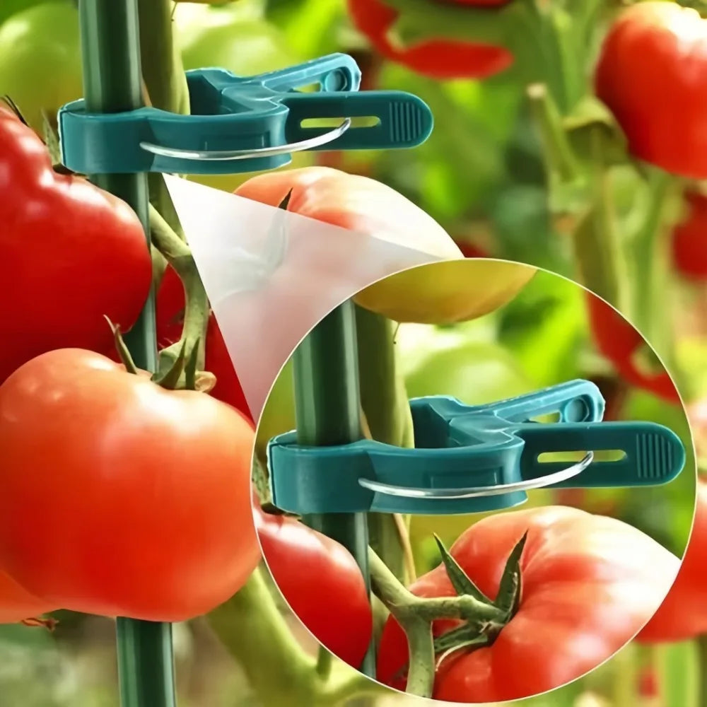 20 Pcs Reusable Plant Clips for Tomatoes, Vines & Flowers Plant Support Clips Axl