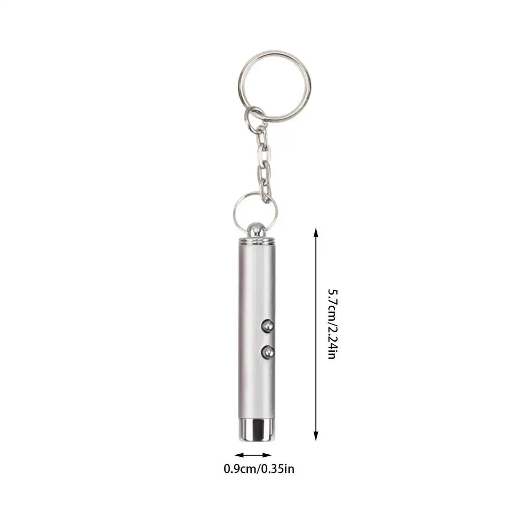 Cat Laser Pointer Toy Pen – LED Light & Keychain Flashlight Cat Laser Toy Axl Silver