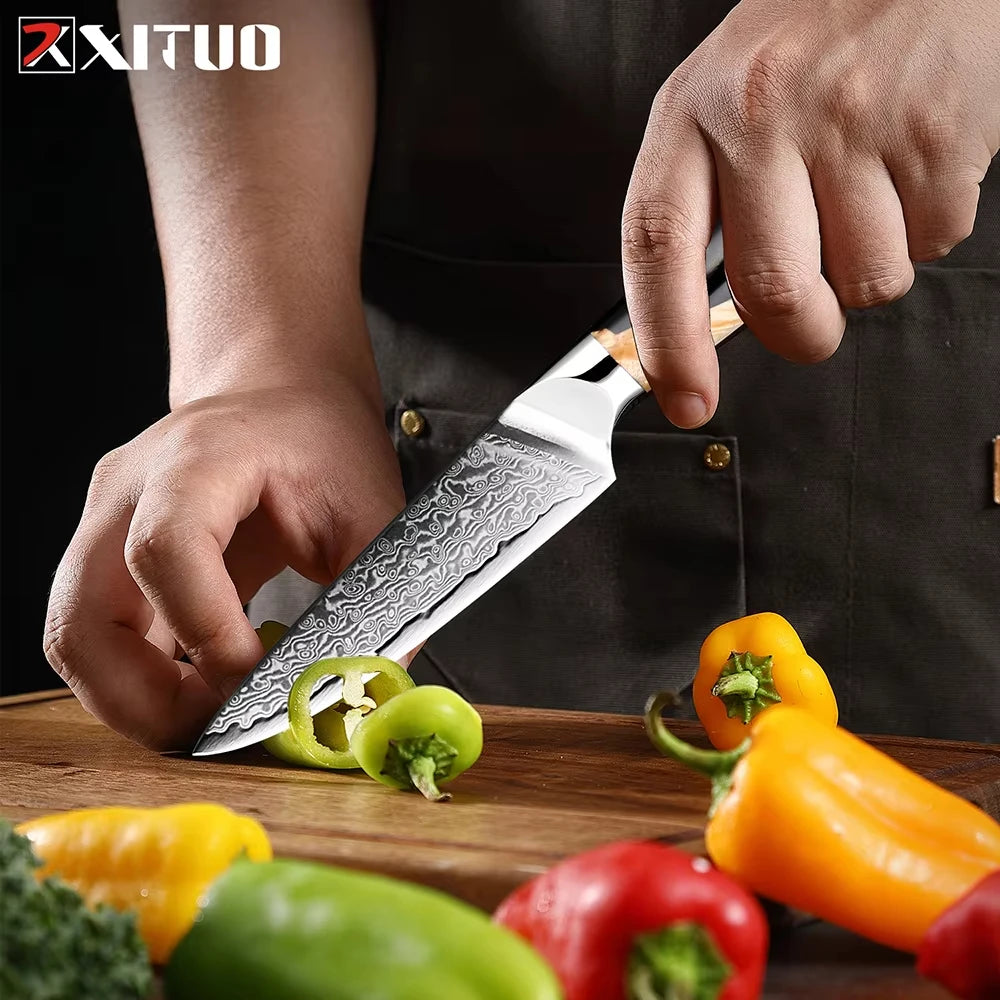 XITUO 7-Piece Damascus Steel Kitchen Knife Set | Ultra Sharp Kitchen Knife Set Axl