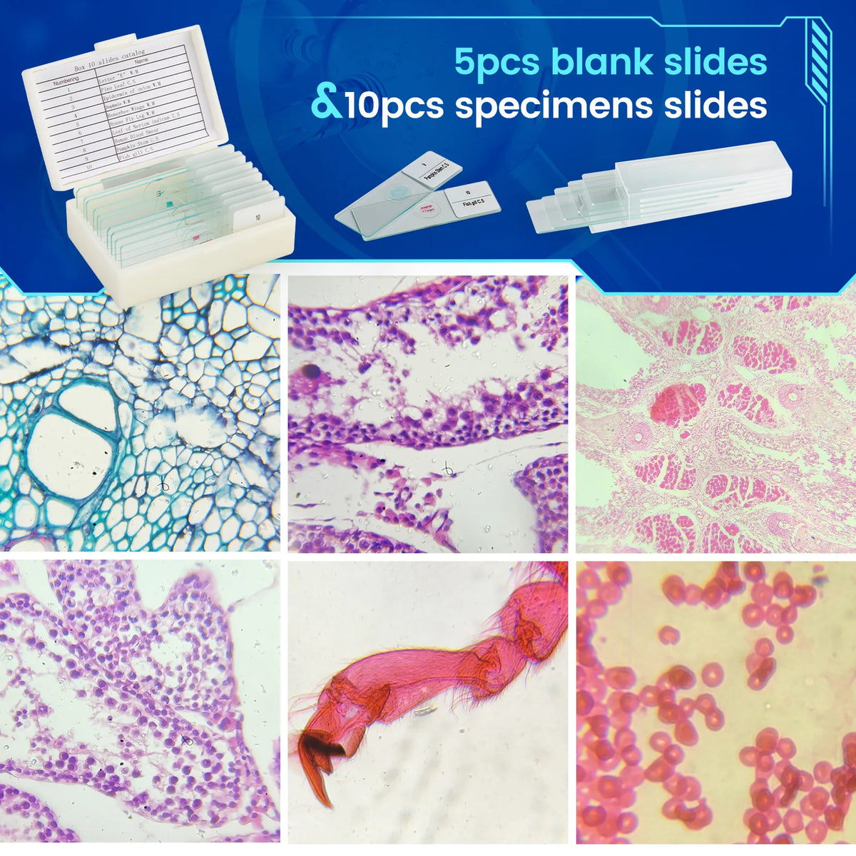 Biological Optical Microscope 40–640X | Specimen Viewing Biological Microscope Axl