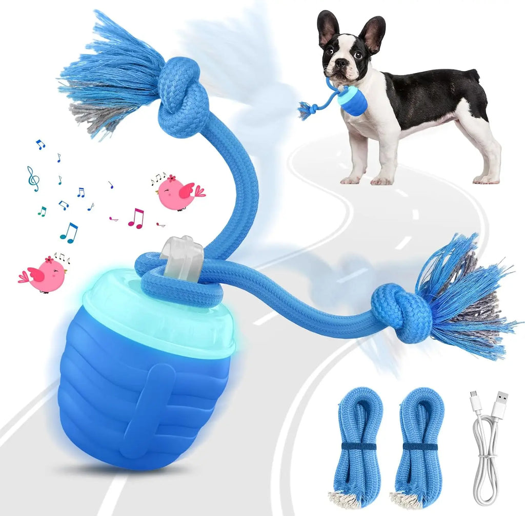Interactive Motion-Activated Dog Ball Toy | USB Rechargeable Interactive Dog Toy Axl