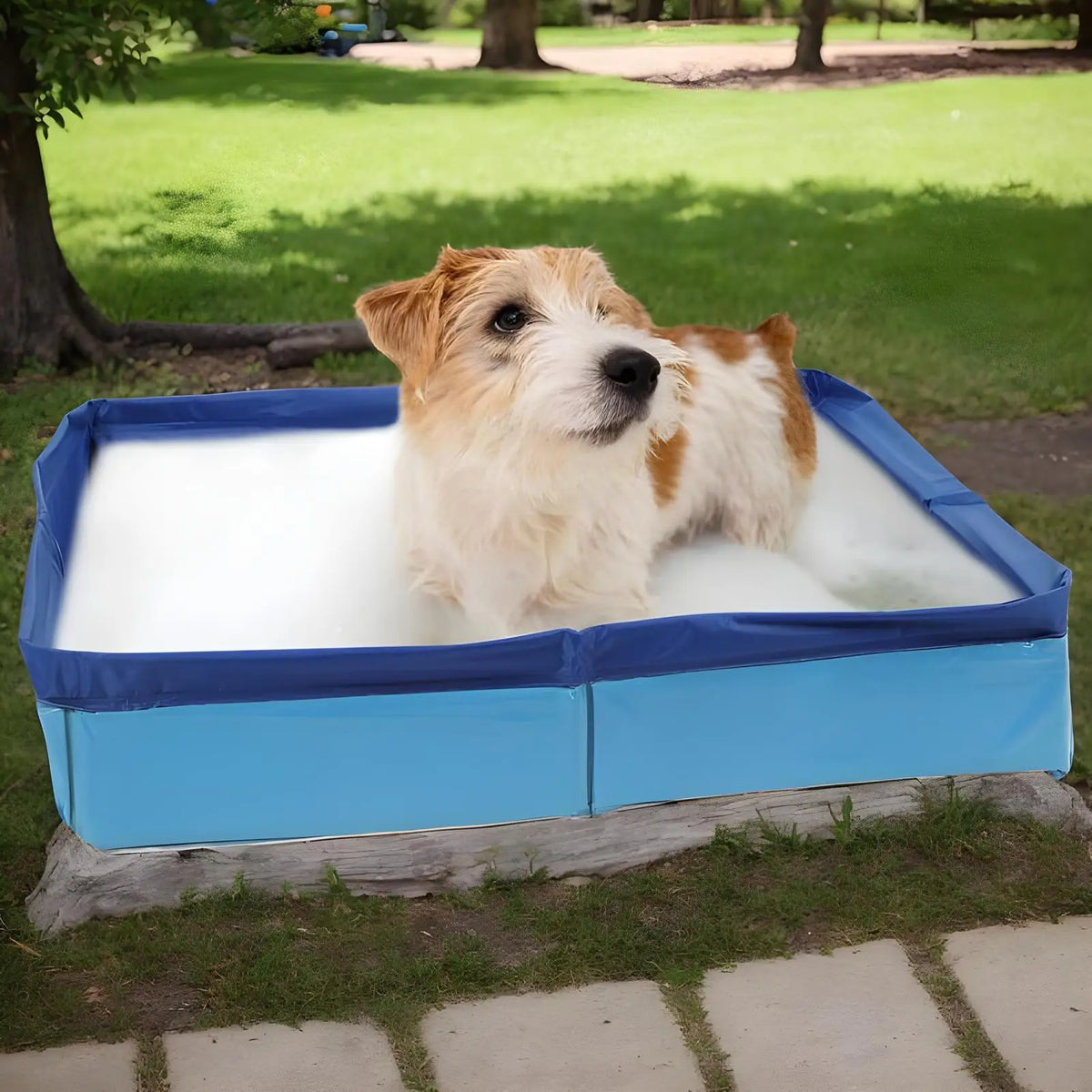 Foldable PVC Pet Pool – Dog & Cat Wading Bathing Tub 50x50cm Pet Wading Pool Axl