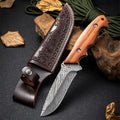 Damascus Steel Kitchen Knife – Sharp Stainless Blade, 10.5cm Kitchen Knife Axl Kitchen knife
