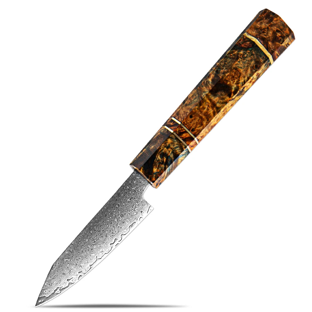 XITUO Damascus Steel Chef Knife Set – VG10 Core, Wood Handle Kitchen Knife Set Axl Paring knife