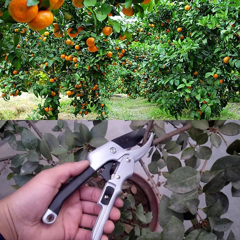 Carbon Steel Bonsai Pruning Shears – Garden Pruner Scissors Pruning Shears Axl