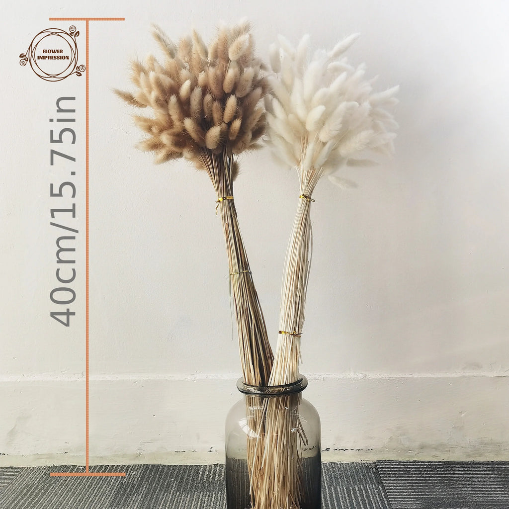 120pcs Dried Rabbit Tail Grass Pampas Bouquet | Boho Decor Dried Flower Bouquet Axl