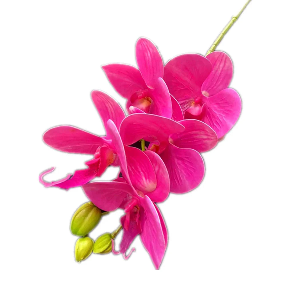 5-Head Real Touch Artificial Phalaenopsis Orchid Branch | 68cm Artificial Flower Branch Axl Rose Red