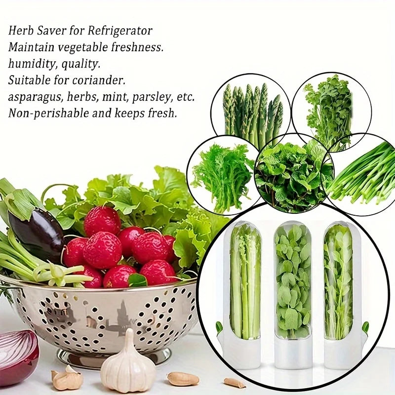 Herb Saver Storage Container – Fresh Herb Keeper 1/2/3 Pack Herb Storage Container Axl