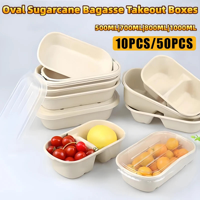 Biodegradable Sugarcane Lunch Boxes | 10/50 Pack, 4 Sizes Disposable Food Containers Axl