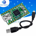 Teensy 2.0 ATmega32U4 USB Board – Arduino AVR ISP & HID Emulation USB Development Board Axl Default Title