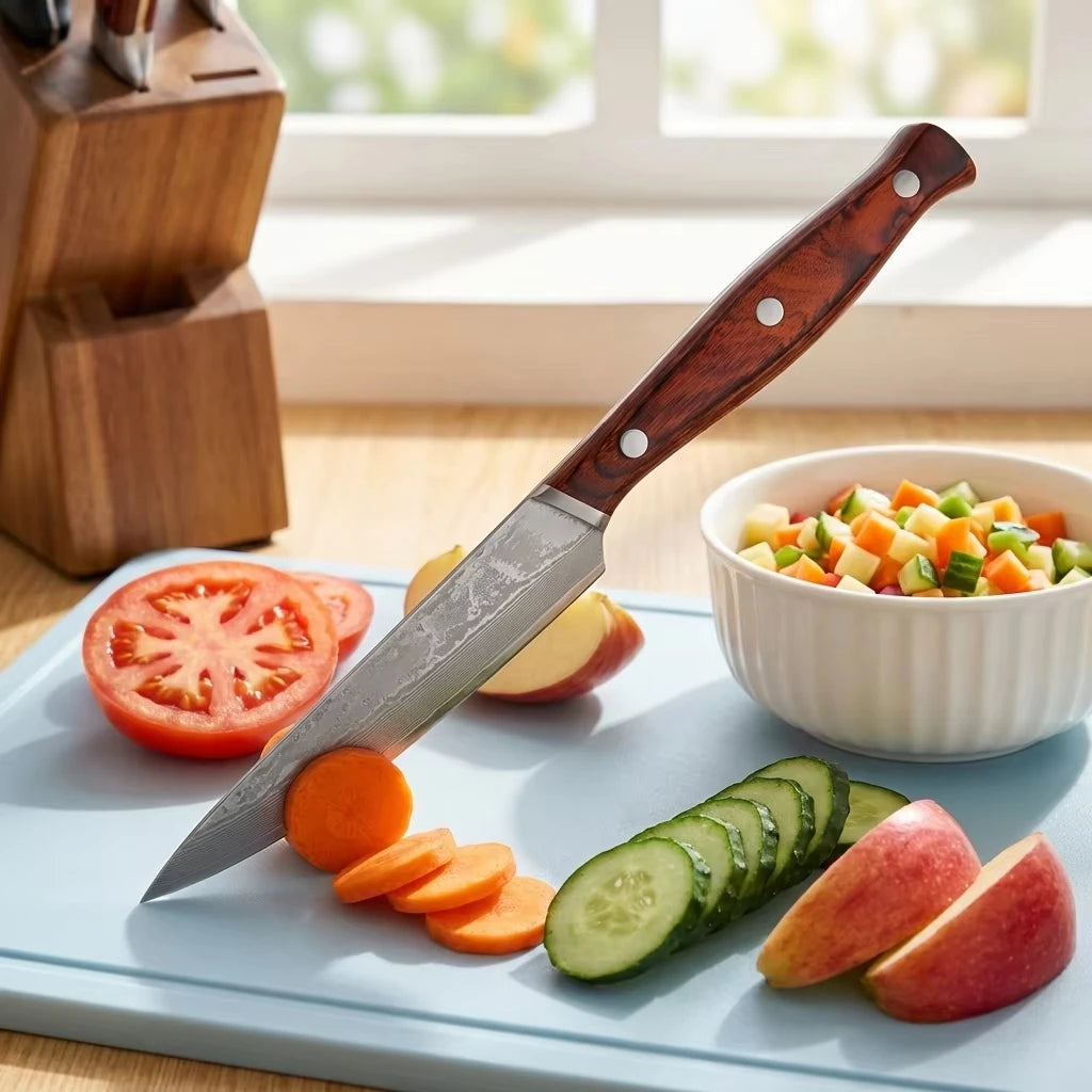 67-Layer Damascus VG10 Knife – Fruit, Steak & Paring Knife Damascus Kitchen Knife Axl