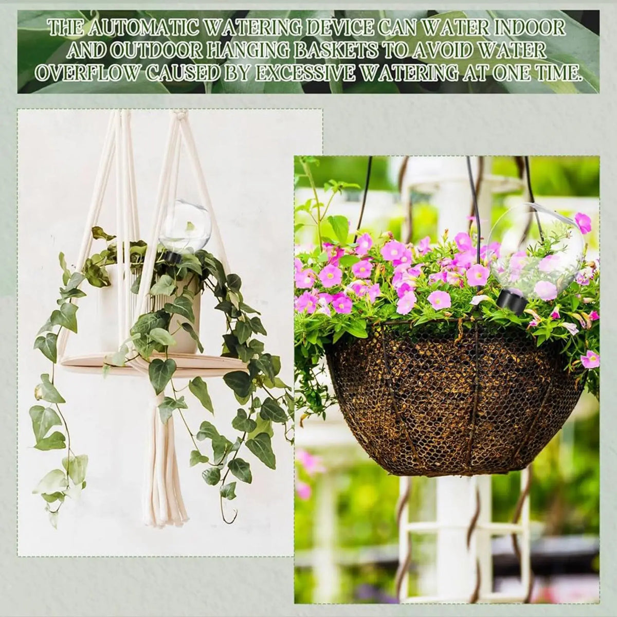 500ml Automatic Plant Watering Globe – Self-Watering Spike Plant Watering Globe Axl