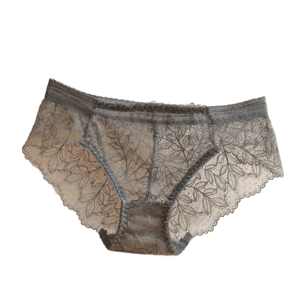 Women's Lace Mesh Briefs – Seamless Low-Rise Underwear Women's Briefs Axl Grey One Size 1pc