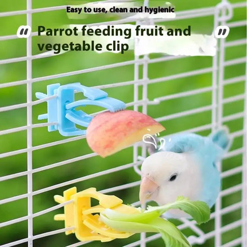 Parrot Bird Cage Food Clip Feeder – Fruit & Veggie Holder 2/4 Pcs Bird Cage Feeder Clip Axl