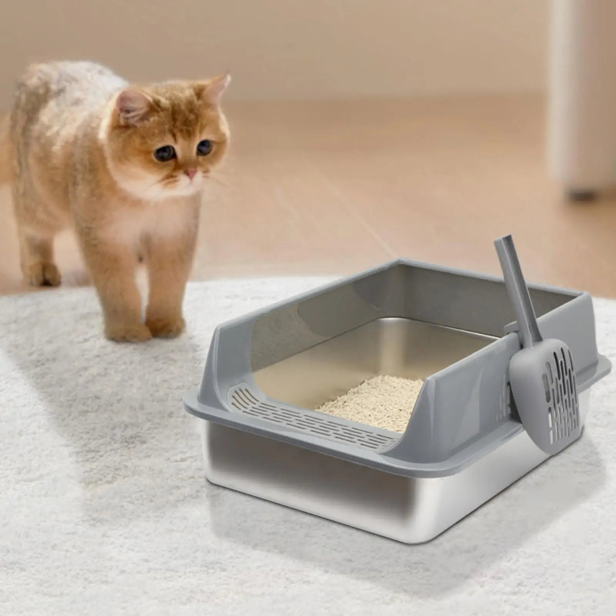 Semi-Enclosed Cat Litter Box with Scoop – Deep Basin & Splash Guard Cat Litter Box Axl