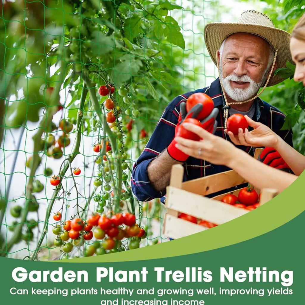 Heavy Duty Plant Trellis Climbing Net – Cucumber & Tomato Garden Trellis Netting Axl