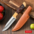 PLYS Stainless Steel EDC Pocket Knife – Fruit, BBQ & Outdoor Folding Pocket Knife Axl 1pc
